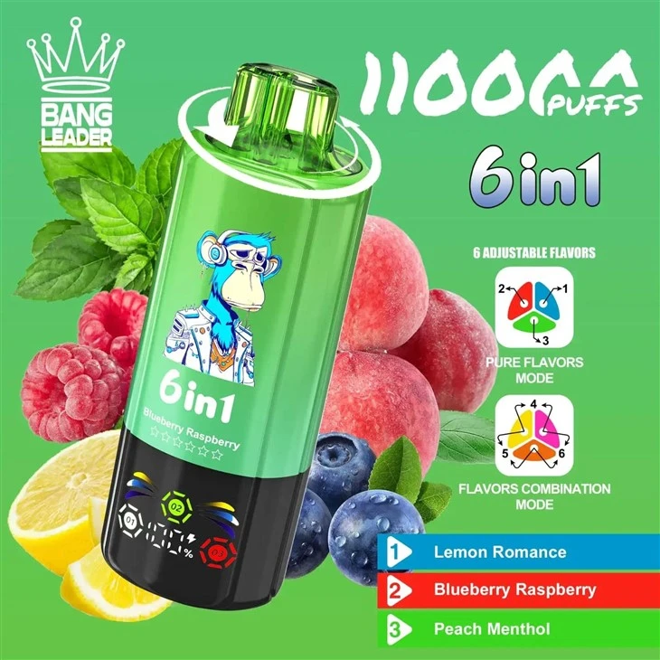 Bang Leglend 6in1 Vape 110k Puffs factory