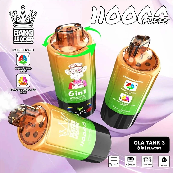 Bang Leglend 6in1 Vape 110k Puffs best